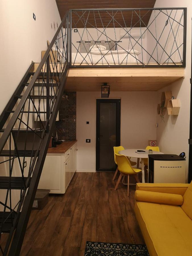 Kopel Haus - Studio - Self Acces Cod Location Balotesti Kültér fotó