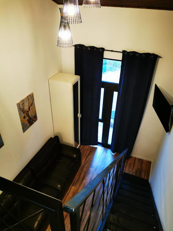 Kopel Haus - Studio - Self Acces Cod Location Balotesti Kültér fotó